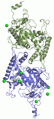 Image Asym./Biol. Unit - manually