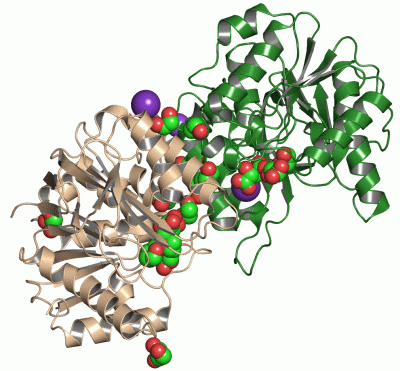 Image Asym.Unit - manually
