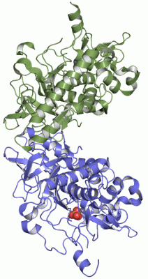 Image Asym./Biol. Unit - manually