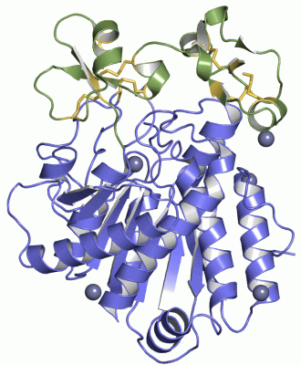 Image Asym./Biol. Unit - manually