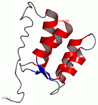 Image NMR Structure - manually