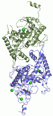 Image Asym./Biol. Unit - manually