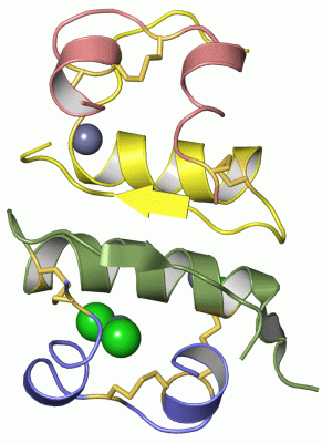 Image Asym.Unit - manually