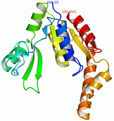 Image Asym./Biol. Unit - manually