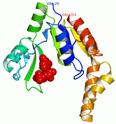 Image Asym./Biol. Unit - manually