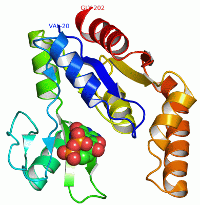 Image Asym./Biol. Unit - manually