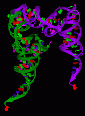Image Asym./Biol. Unit - manually