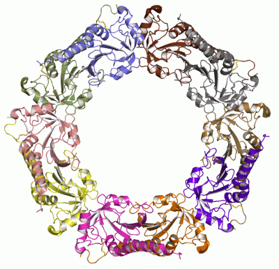 Image Asym./Biol. Unit - manually