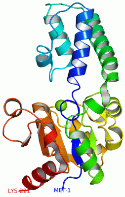 Image Asym./Biol. Unit - manually