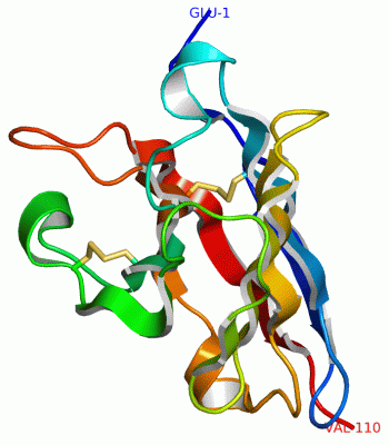 Image Asym./Biol. Unit - manually