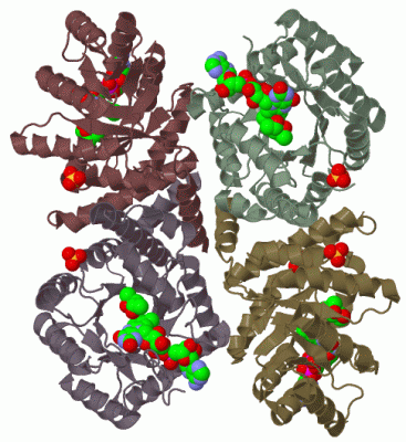 Image Biol.Unit 1 - manually