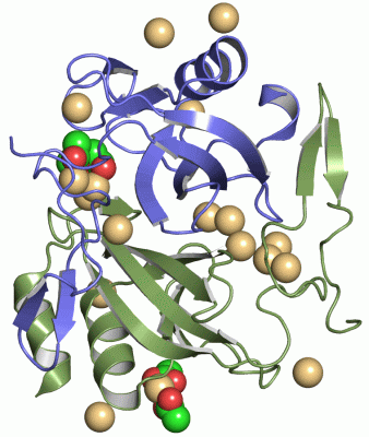 Image Asym./Biol. Unit - manually
