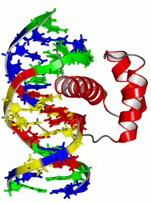 Image NMR Structure - manually