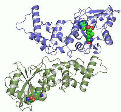 Image Asym./Biol. Unit - manually