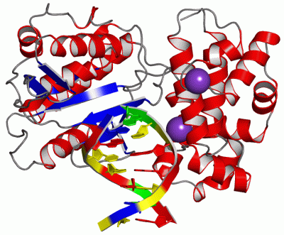 Image Asym./Biol. Unit - manually