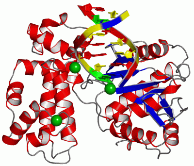 Image Asym./Biol. Unit - manually