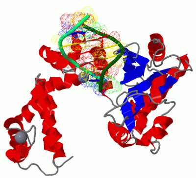 Image Asym./Biol. Unit - manually