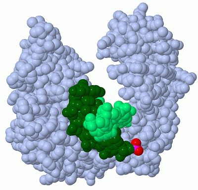 Image Asym./Biol. Unit - manually