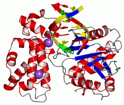 Image Asym./Biol. Unit - manually