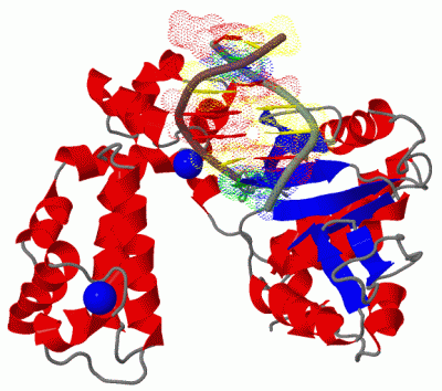 Image Asym./Biol. Unit - manually