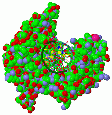 Image Asym./Biol. Unit - manually