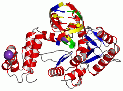 Image Asym./Biol. Unit - manually