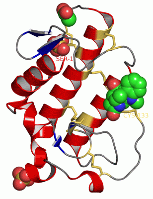 Image Asym./Biol. Unit - manually