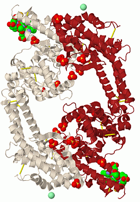Image Biol.Unit 1 - manually