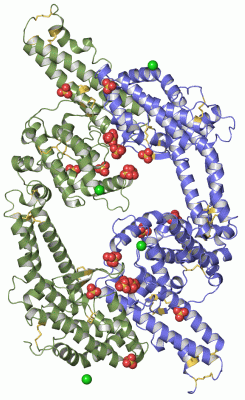 Image Asym./Biol. Unit - manually