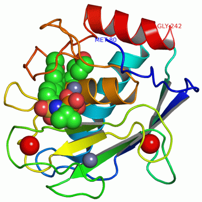 Image Asym./Biol. Unit - manually