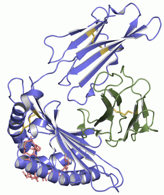 Image Asym./Biol. Unit - manually