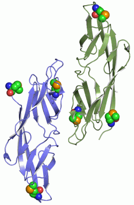 Image Asym./Biol. Unit - manually