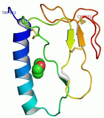 Image Asym./Biol. Unit - manually