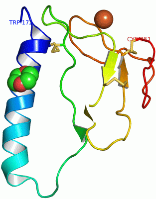 Image Asym./Biol. Unit - manually