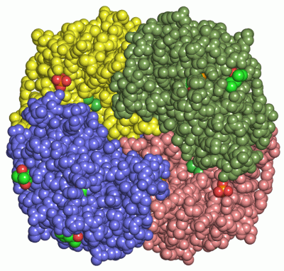 Image Asym./Biol. Unit - manually