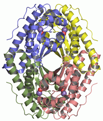 Image Asym./Biol. Unit - manually