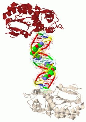 Image Biol.Unit 1 - manually