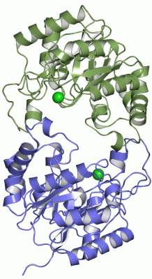 Image Asym./Biol. Unit - manually