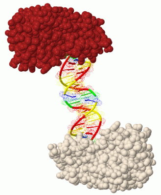 Image Biol.Unit 1 - manually