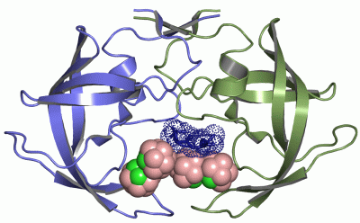 Image Asym.Unit - manually