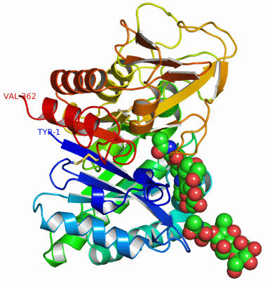 Image Asym./Biol. Unit - manually