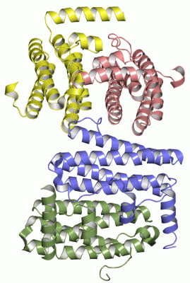 Image Asym.Unit - manually