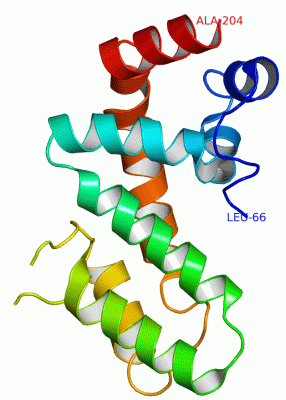 Image Asym./Biol. Unit - manually