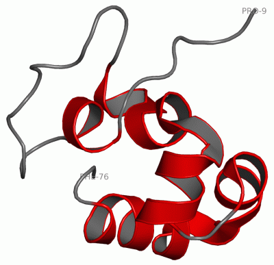 Image NMR Structure - manually