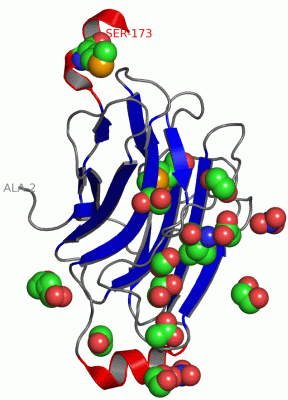 Image Asym./Biol. Unit - manually