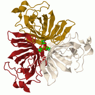 Image Biol.Unit 1 - manually