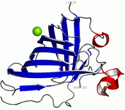 Image Asym.Unit - manually