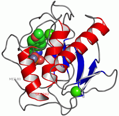 Image Asym./Biol. Unit - manually