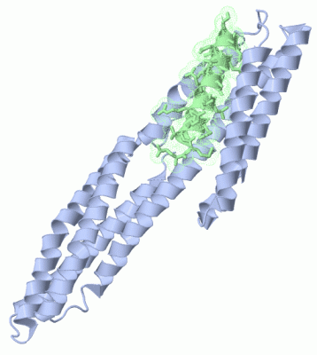 Image Asym./Biol. Unit - manually