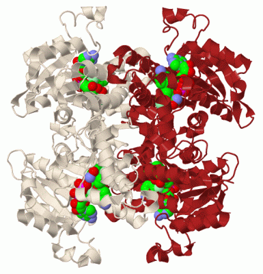 Image Biol.Unit 1 - manually